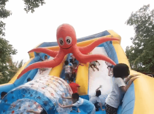 1559548677963954.gif 微信图片_20190603155751.gif