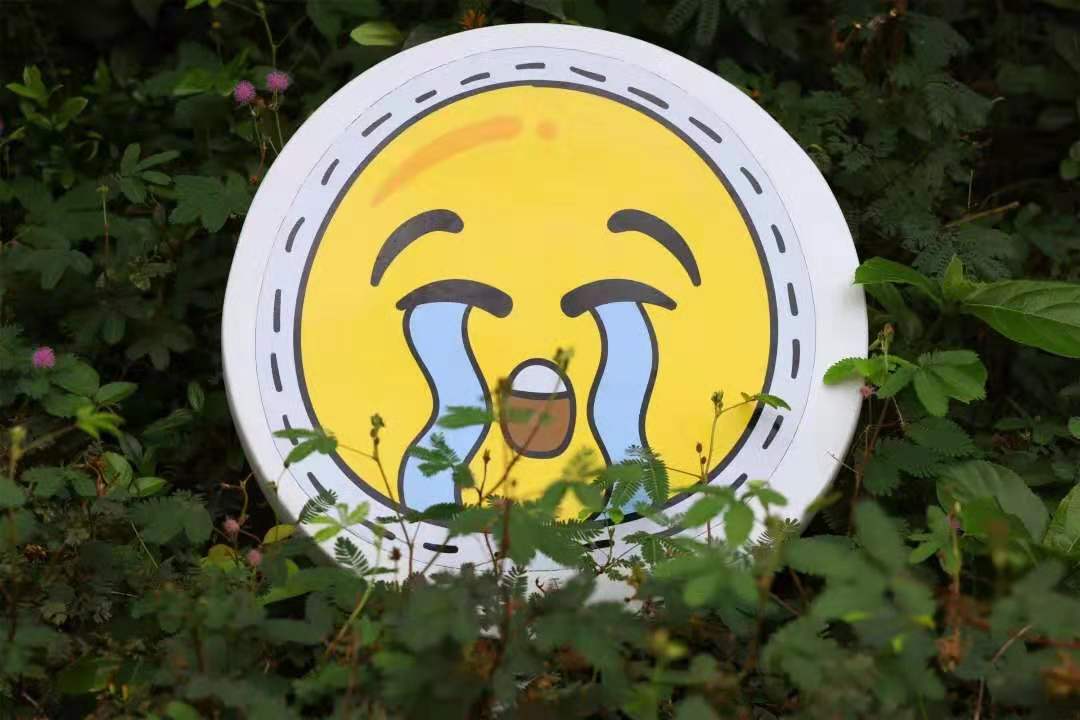 1566897334401570.jpg 微信图片_20190827171521.jpg