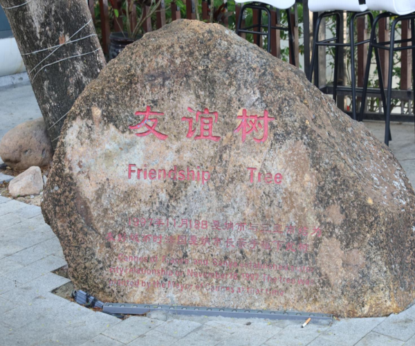 友谊树观景平台